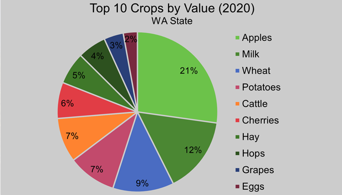 Un foco en la producción y el trabajo agrícola del estado de Washington